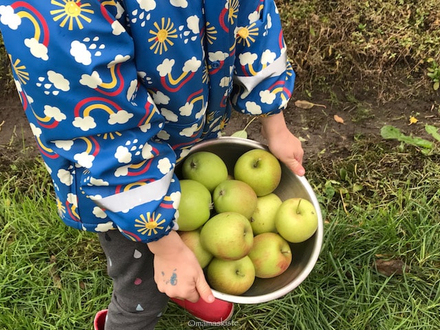 Apfelkuchen